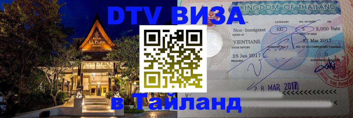 Сколько стоит DTV виза — актуальные цены, оформление даже без документов - Анкара  04.10.2025 